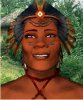 sheba.jpg