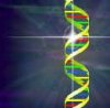 DNA.jpg
