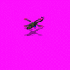 lynx_M9C.gif