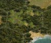 h_coconuttree_z8z.jpg