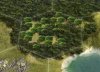 h_mangotree_30R.jpg