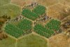 h_aloeveraplantation_47L.jpg