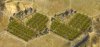 h_coffeeplantation_2oi.jpg
