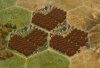 h_redberriesplantation_s40.jpg