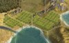 h_cornplantation_0NS.jpg