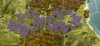 h_lavender_o4N.jpg