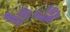 h_lavenderplantation_NqK.jpg