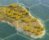 h_sunflowers_EuU.jpg
