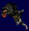 werewolf_5Ap.jpg