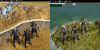elf_archer_HJe.png