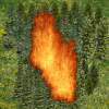 wildfireupload_6yP.png