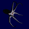 evilkraken_Pu1.png
