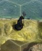 wizard_dromonsmoke_u35.jpg