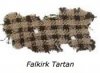falkirk_AN9.jpg