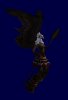 eagle_knight_Rg0.jpg