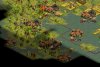 greece_war_pe4.jpg