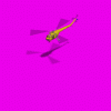 bristol_sycamore_vdZ.gif