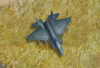 f_35_glF.png