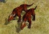fire_lizard_pKY.jpg