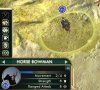 horsebowman2_z8a.jpg