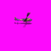 syrian_gazelle_ryK.gif