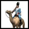 napoleonic_camel_tDB.jpg