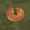 portugeseancientarmylarge_L33.jpg