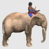aethiopian_elephant_lg_xDe.jpg
