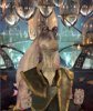 gungan_lh_eYx.jpg