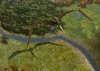 pteranodon_YU1.jpg