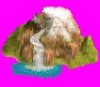 WaterFall.jpg
