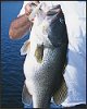 PG2_LUNKER_June04_Klayman.jpg