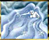 stormbind.png