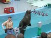 Sea Adventure.JPG