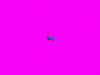 bright.gif