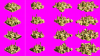 byzaphoe full pre.PNG