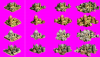 sea pre.PNG