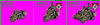 eivind_recon-germans.GIF