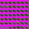 AssortedW2Vehicularisms.PNG
