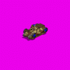 WB-10.gif