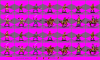 OrAngeCatz.PNG