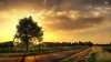 27488336-countryside-wallpapers.jpg