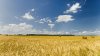 campo-imagen.jpg