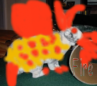 crazybunny.gif