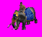 unit1.gif