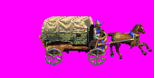 wagonrun2.gif