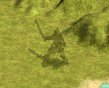 shadow warrior.jpg