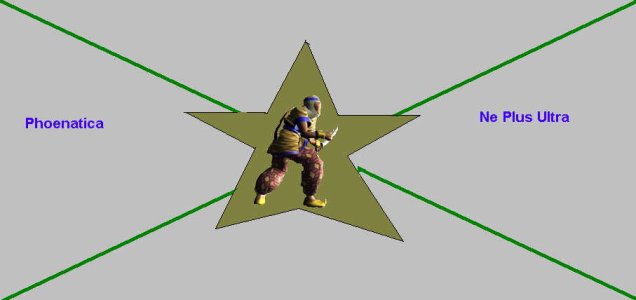 flaggy.jpg