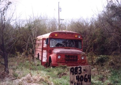 the bus.jpg