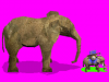 elephanthuge.png
